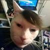 natthaphon1234556