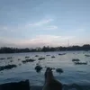 minh.qun2209