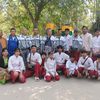 sanshey50