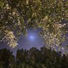 xnawal_3