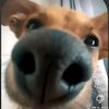 vlad_22879
