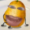 khethongtriloaibo