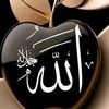 user33692231651167