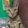 ninan8625