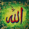 muhammet.acar544