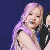 rose_fan3568