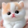 user172975991986