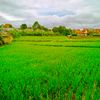 urang.sunda2150