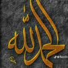 hamzamughal4772