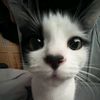 user5872272008182