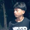 anggaprasasta