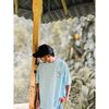 _tharu75