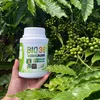 Bio 36 Siêu Kích Rễ - Kích Đọt