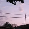 mimi264_2
