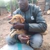 john.dogs.shelter