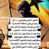 toubawi521