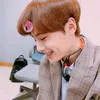 emydojeongin