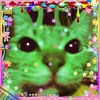 nyx_on_pawzz0