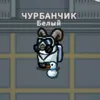 user49793127968307