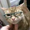 latifa.hamidi7
