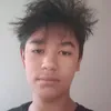 nicolausions