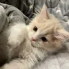 mewwwwkyyy_21