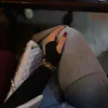 5ll232