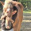 Goldenheart _horserescue