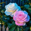 kasam1_