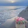 abeer.mostafa94