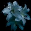 star67_8