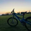 george.graham26