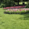 sharon88012