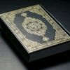 لا تخلّ مدخلي (احتياطي)