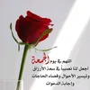 malak05nour