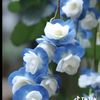 heba.hebatunnur.h