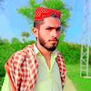 awan.zada644