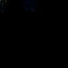 barbushka.colombian_cat8