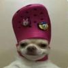 im.dumd3
