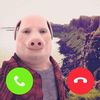 bomboclatt_98