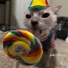 cats_ghost