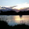 orientalarg_