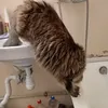 ylianka_355