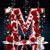 user7533986810831