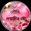 suhed.ahmed646