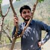 mubashir.shah843