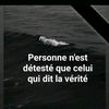 user24529498179777