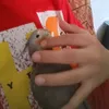 binyaminmirza4