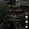 .ch.hasnain3