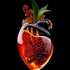 wajid.ali.solangi75